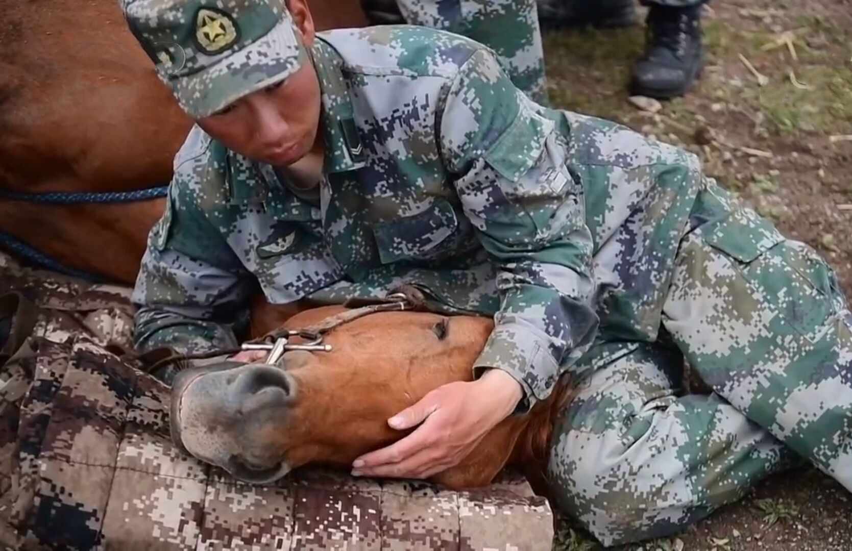 90后骑兵连连长扎根草原，获“最美新时代革命军人”荣誉称号
