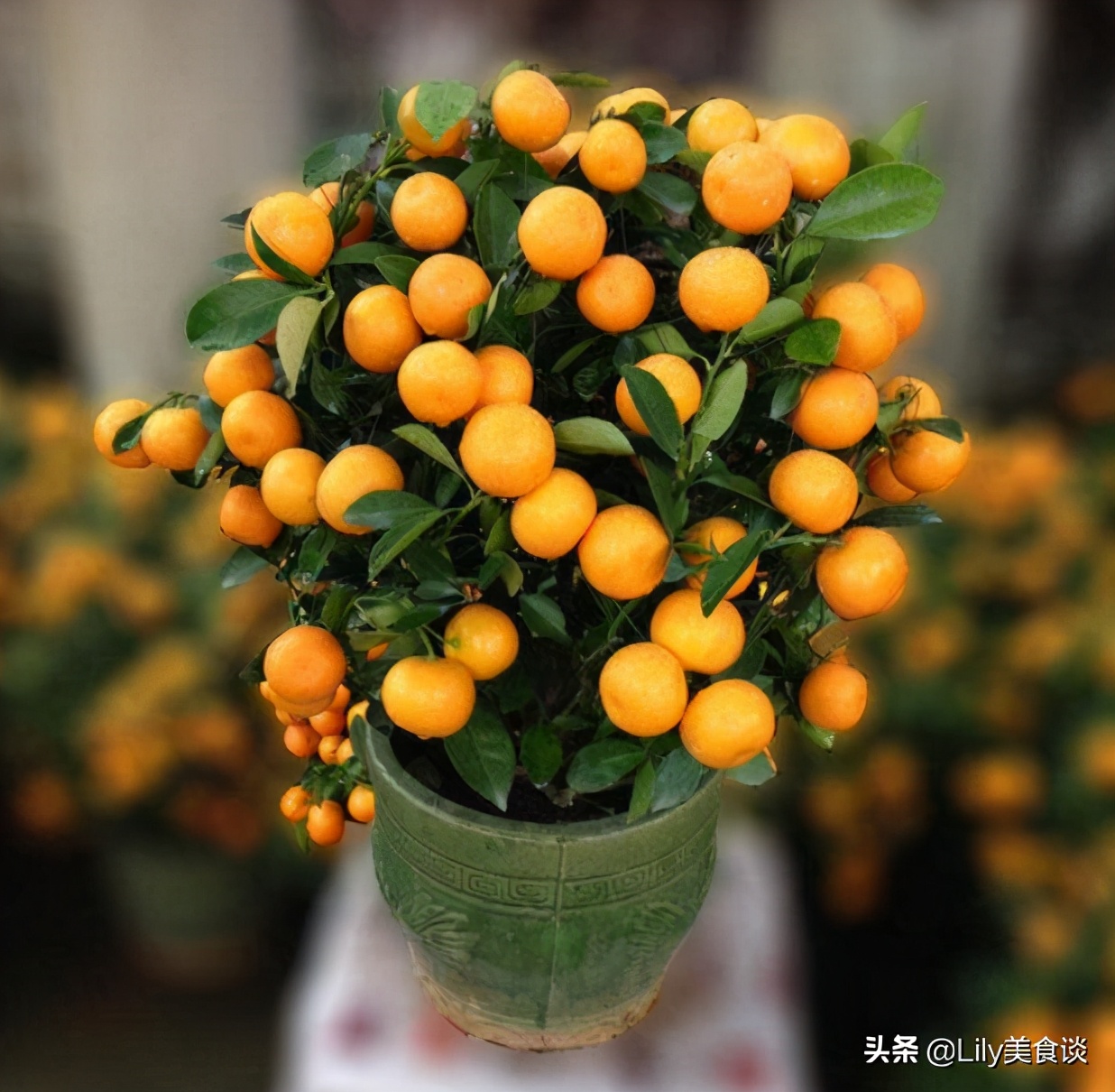 正月初一，記得給家裡擺這6樣“吉祥果”，寓意牛年大吉好運連連