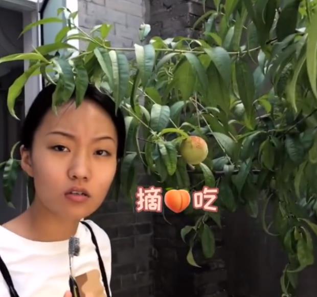 &quot;贝勒爷&quot;邵雨轩被嘲又丑又土，真实身份