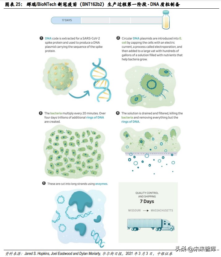 疫苗技术专题分析报告：mRNA疫苗开启疫苗行业新时代