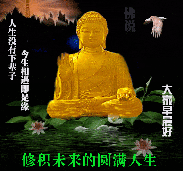 最棒|正月十九最棒早安问候祝福语动画表情动态图片，早安问候祝福动图