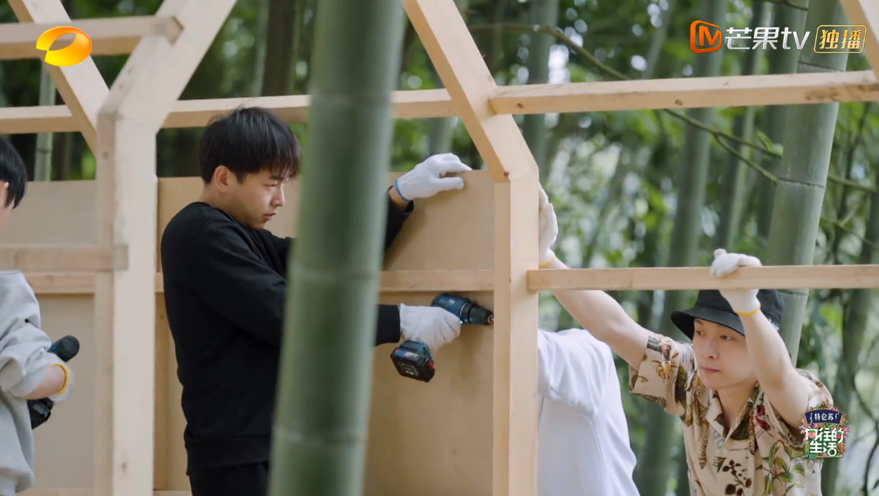 《向往5》即将收官为何大家还在“制作木屋”？