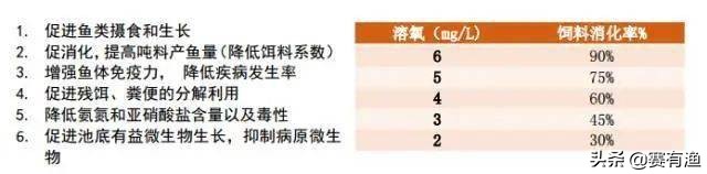 虾农关注：黄颡鱼行情利好，养殖中如何降料比、增收益
