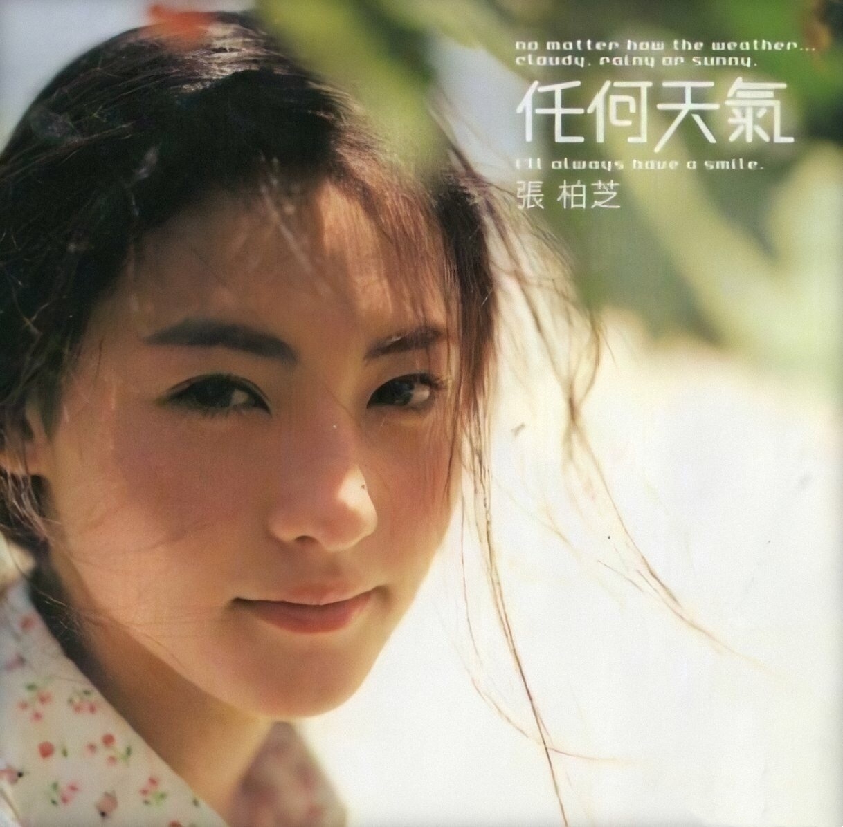 張柏芝再拍《任何天氣》寫真，與22年前無差別，時過境遷人未變