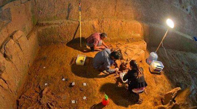 河北村民猪圈神秘丢猪，无奈只好报警，专家赶