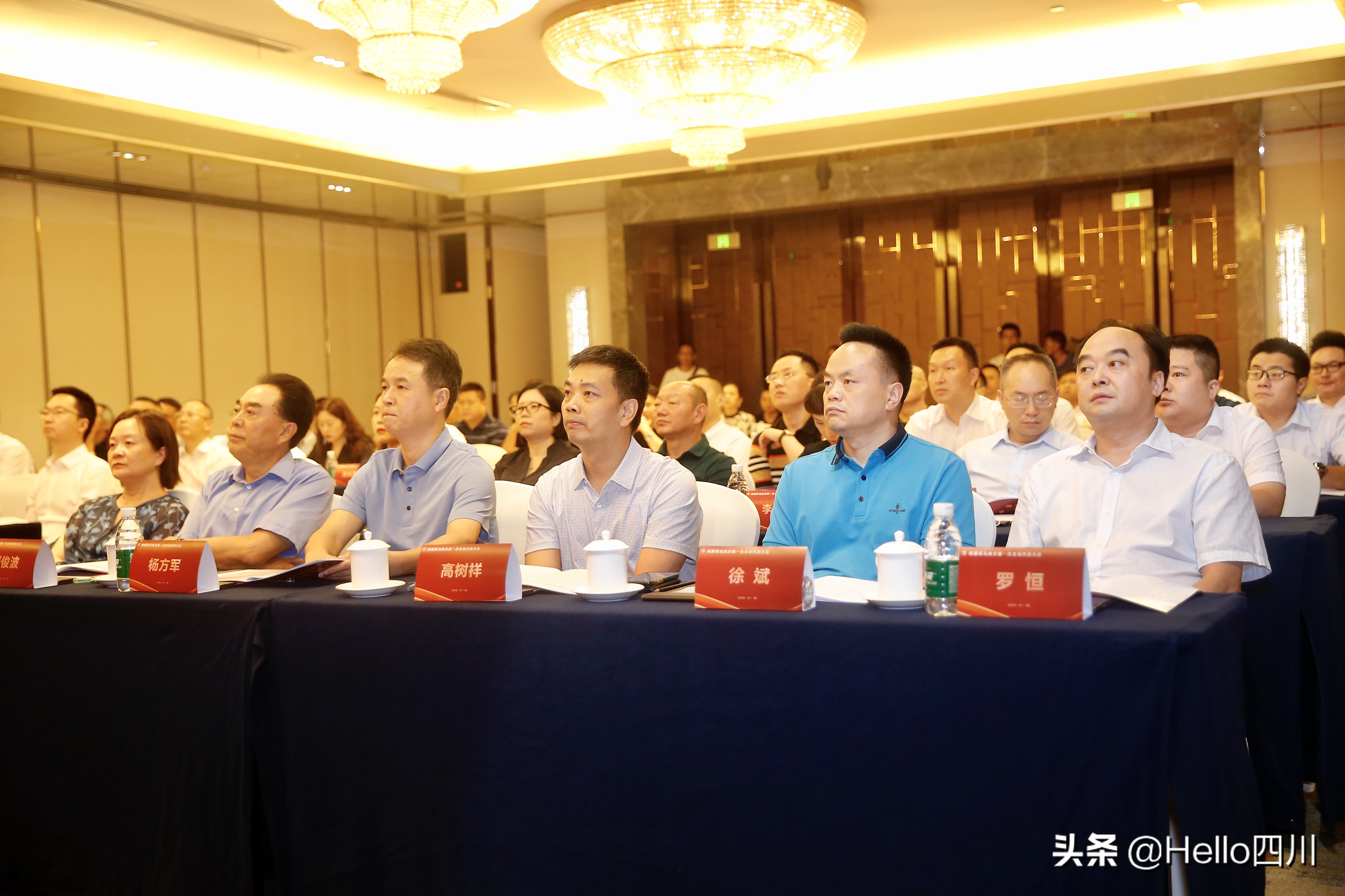 成都南充商会第一届会员代表大会在蓉召开