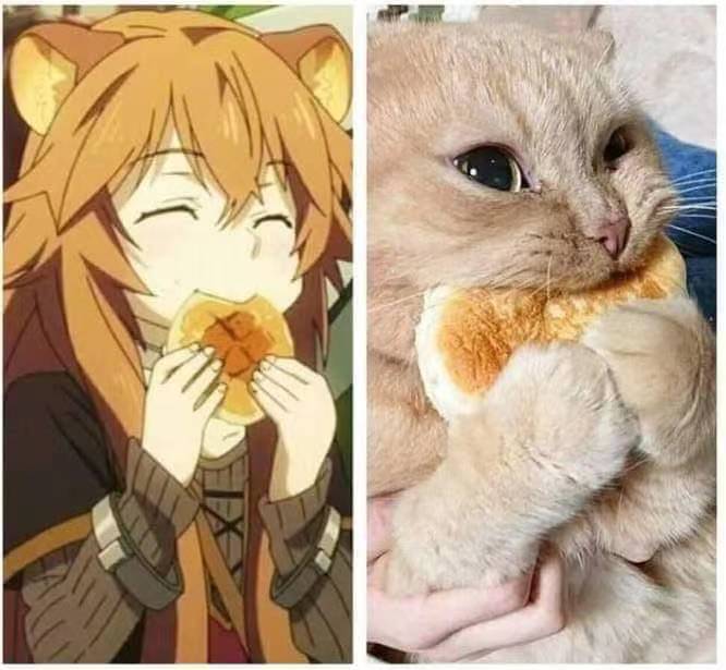 當三次元貓咪擬人化，咬麵包的樣子太可愛，為啥我家貓咪不能變？