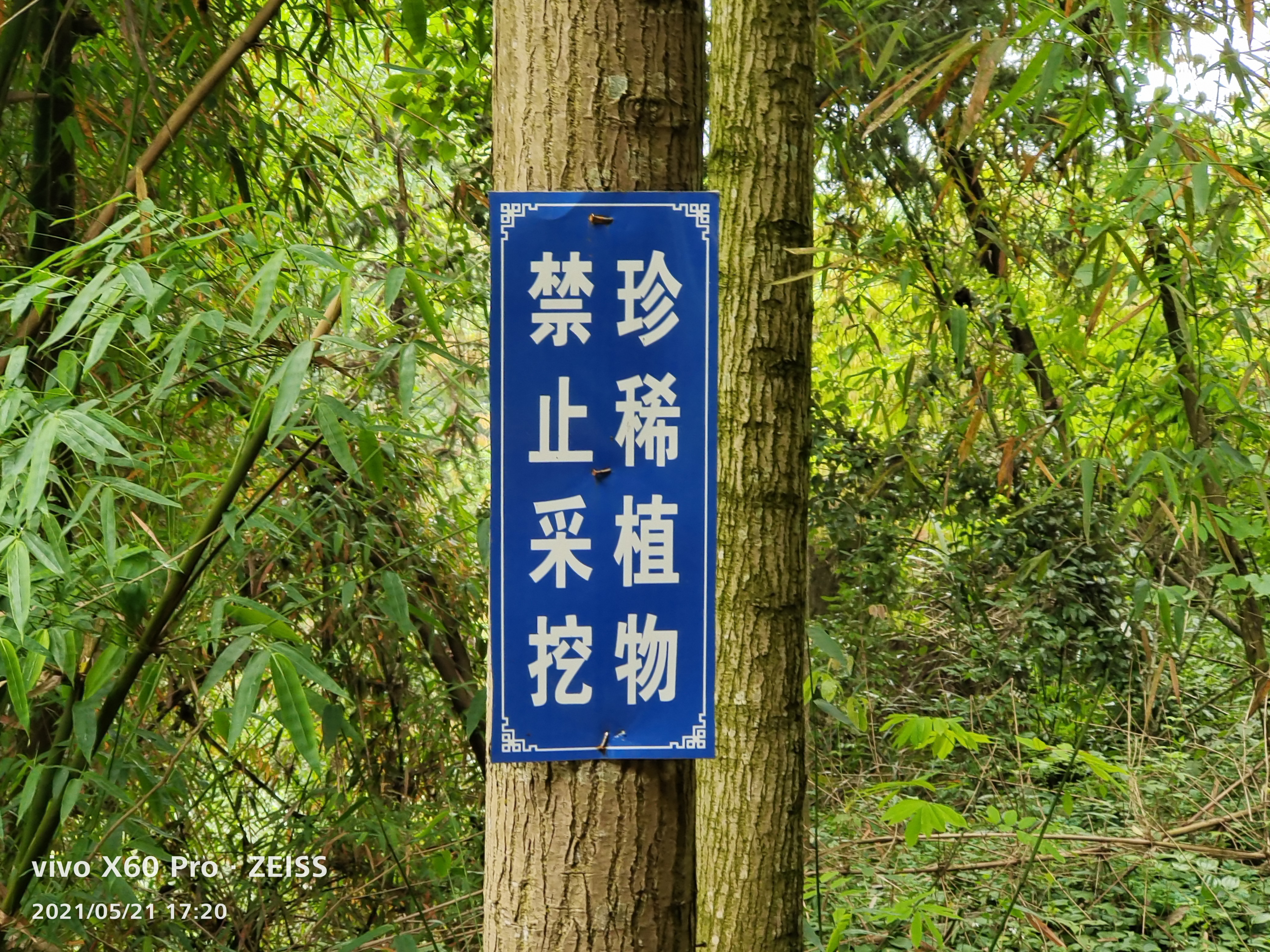 武陵景观之贵妃峡，万州大唐荔园重要景观之一