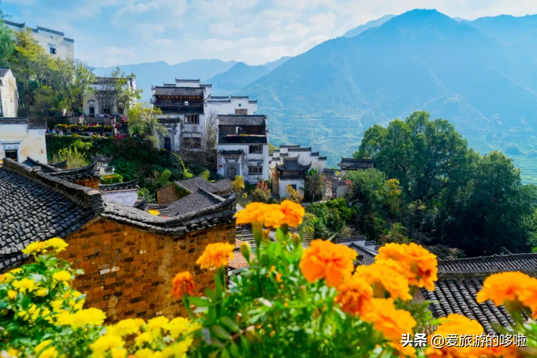 The best place to travel in October-November, the late autumn tour bus is about to depart