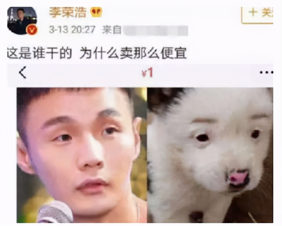 花式秀恩爱，杨丞琳晒狗界李荣浩，粉丝直言：他眼睛没这么大
