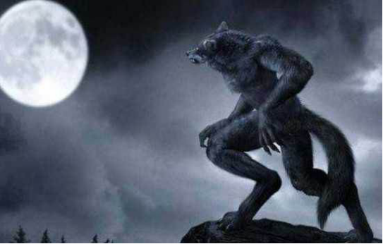 怪物传奇：狼人的传说最早来自于一枝花
