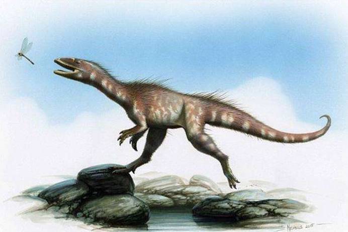 霸王龙的亲戚被找到了！科学家发现和霸王龙同一祖先的全新物种