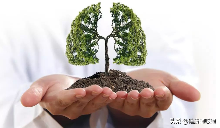 春季，養肺部，晨起1不要，飲食2個多，勤做3件事，肺會感激你