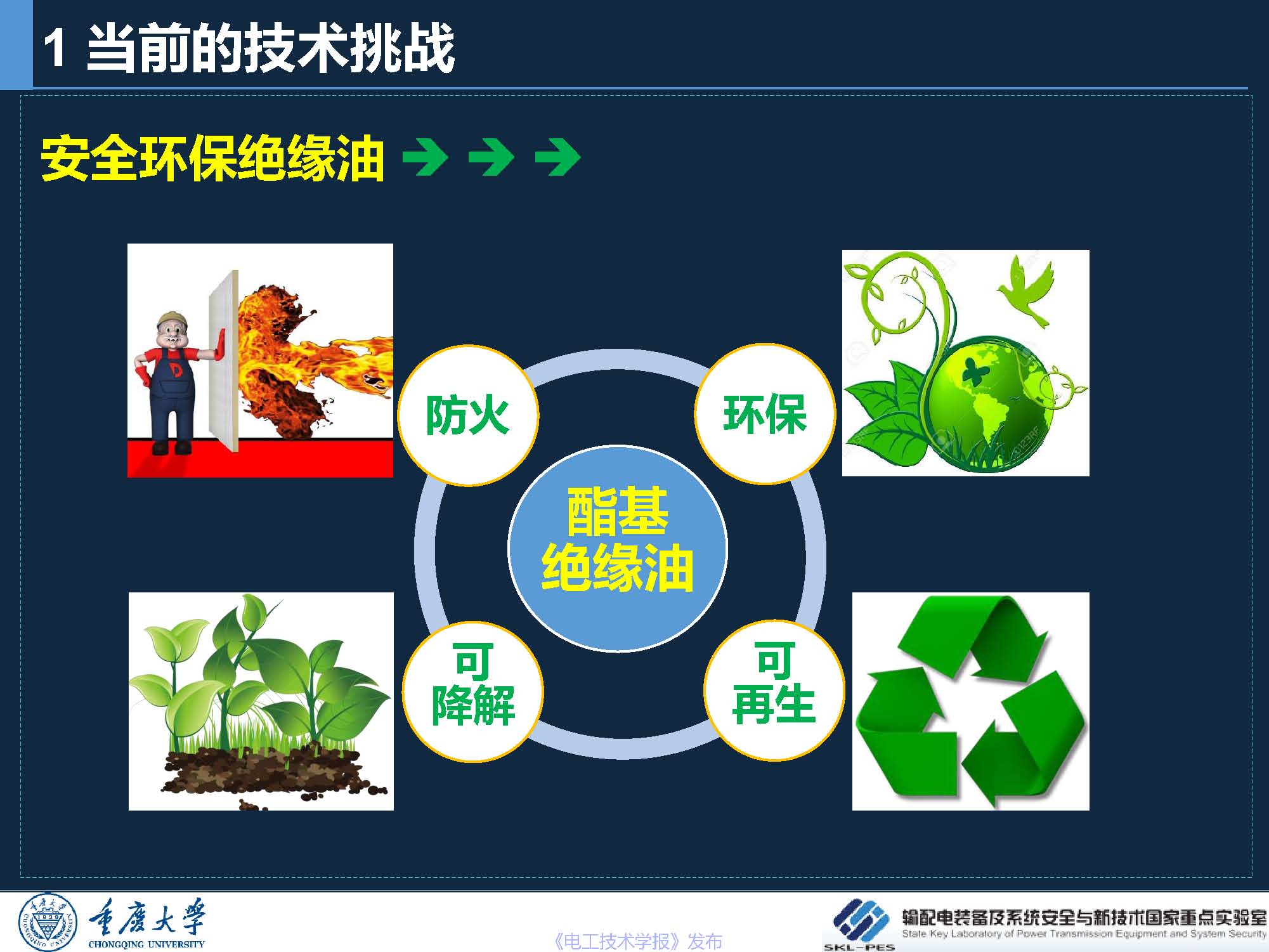 重庆大学 王飞鹏 研究员：环保安全的酯基绝缘油