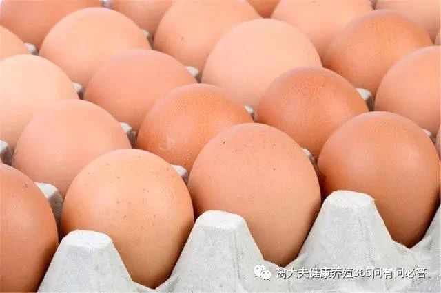 鸡蛋卖出“白菜价”，为什么跌这么狠？