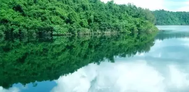 大局已定！加快海南自贸港建设！如果2年后你还在海南就幸运了