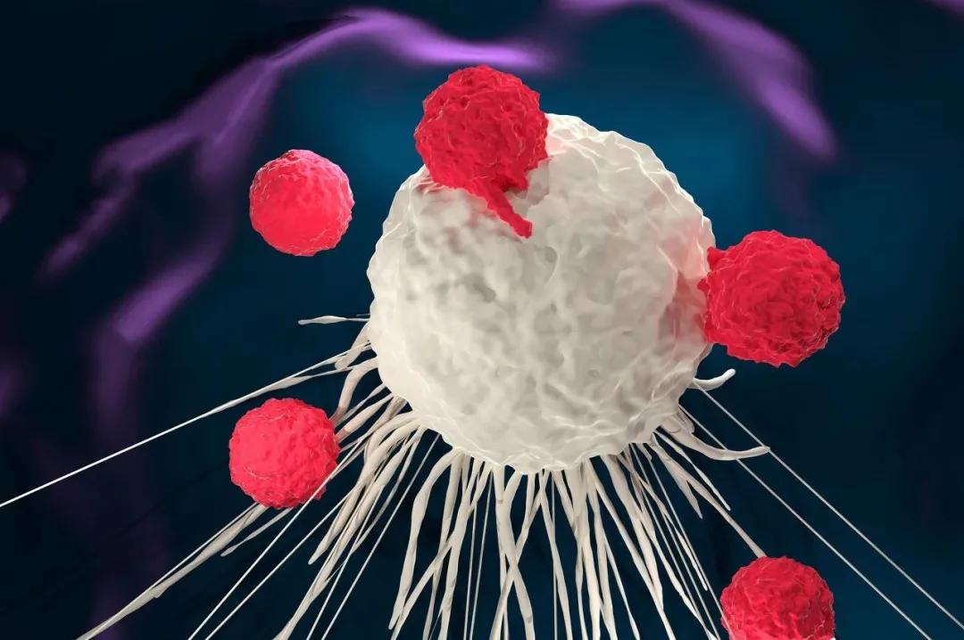 股价疯涨80倍！一群老头带队，做出了最强的新冠疫苗