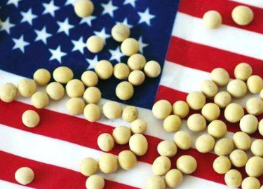海外疫情爆发，会造成小麦、稻谷、玉米、大豆