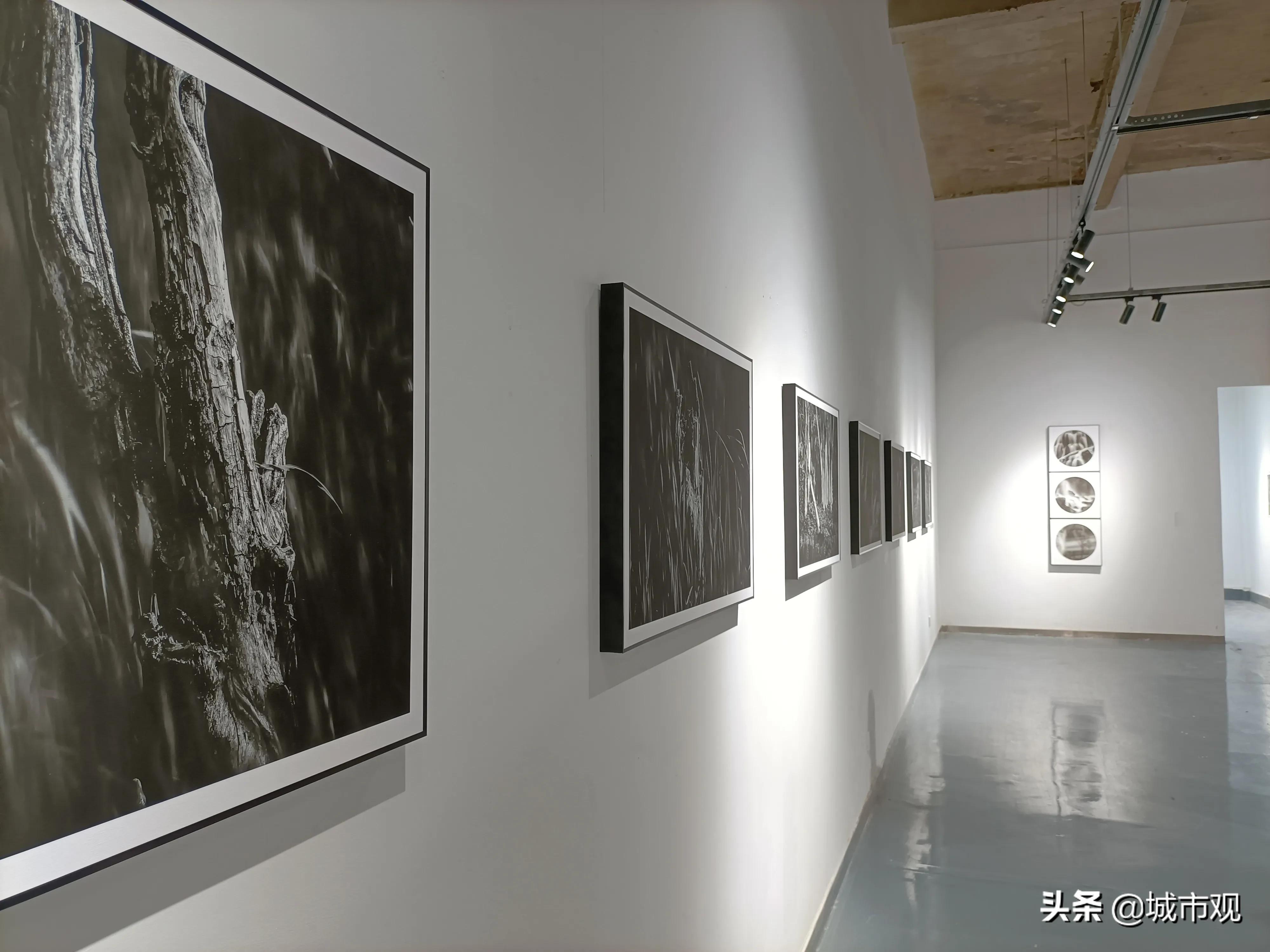 大展黔图《一轮·素念禅心》黄驿伦摄影作品在贵州师大美术馆展出