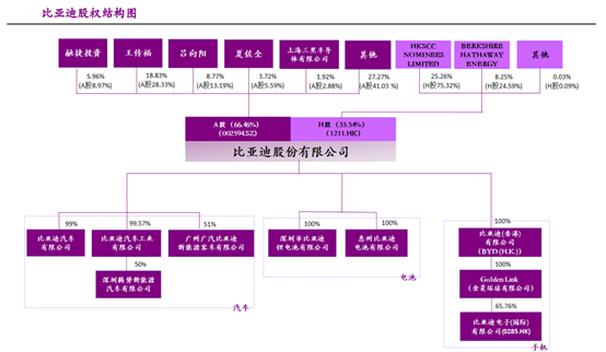 比亚迪：国产新能源汽车领导者