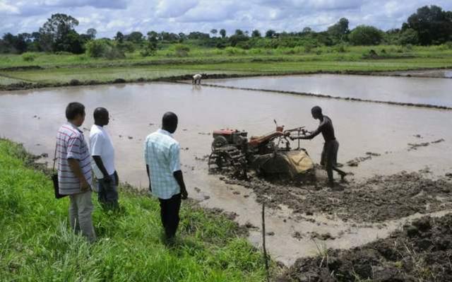 ���������ǿ��������й���ҵ��ʵ�־����ڷɣ��ܷ���Ϊ����һ���й�����