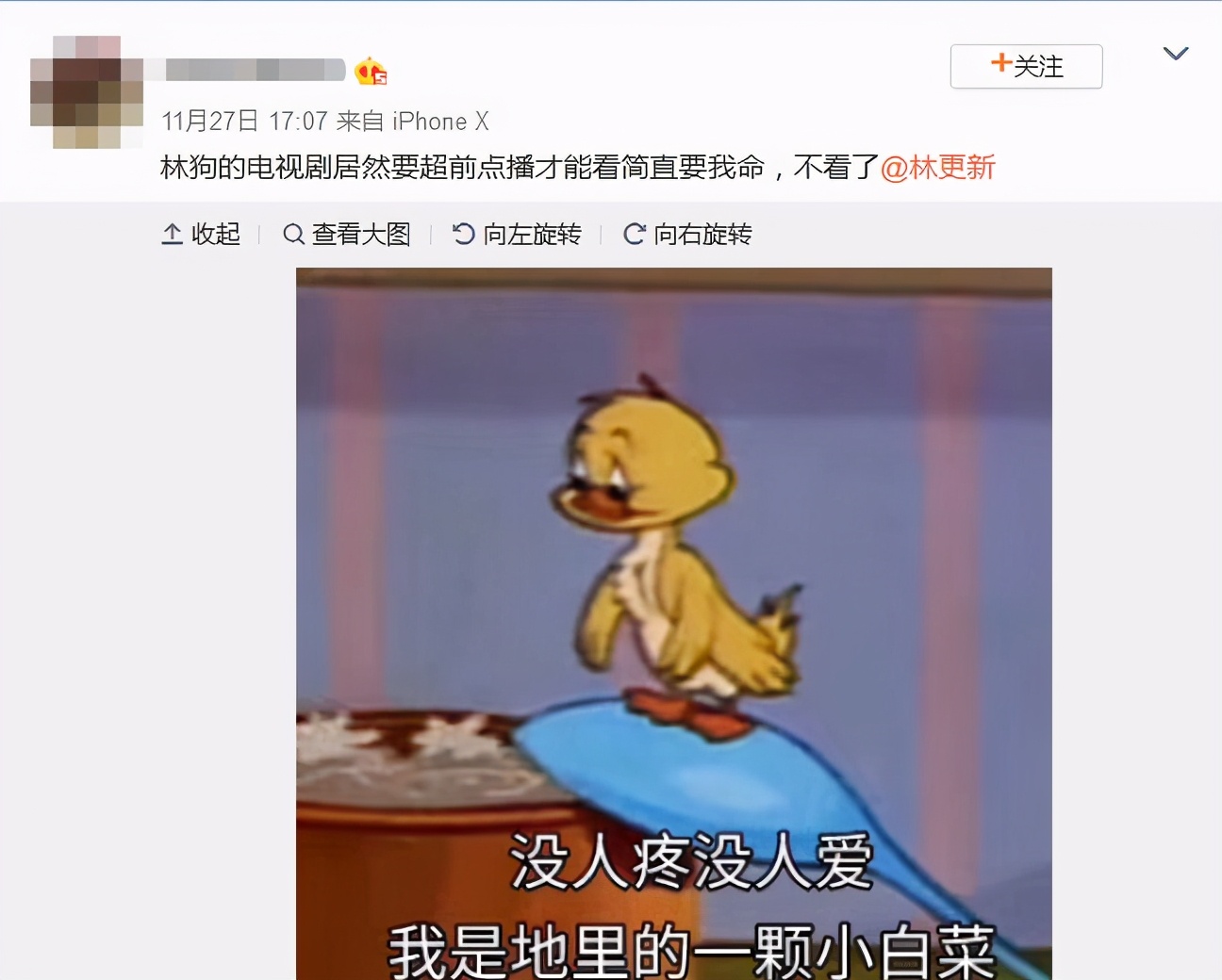 粉丝|娱乐圈谁家粉丝最笋？一人就是千军万马的林更新说：这届粉丝太难带了