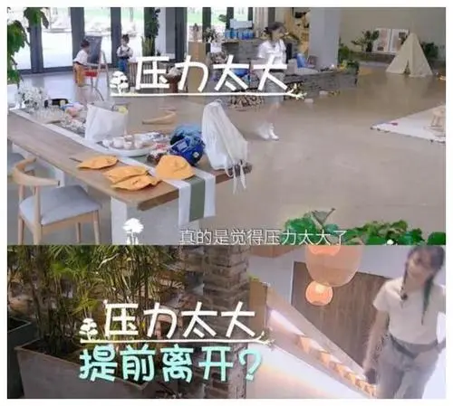 鄭爽發(fā)文，已回國，網(wǎng)友紛紛表示不歡迎
