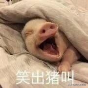 杨幂告黑粉，庭审内容让人笑出了猪声，变相承认整容事实？