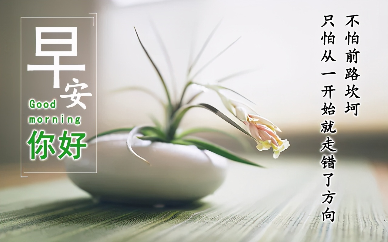 2021最新的早上好图片，最有特色的早上好动图图片