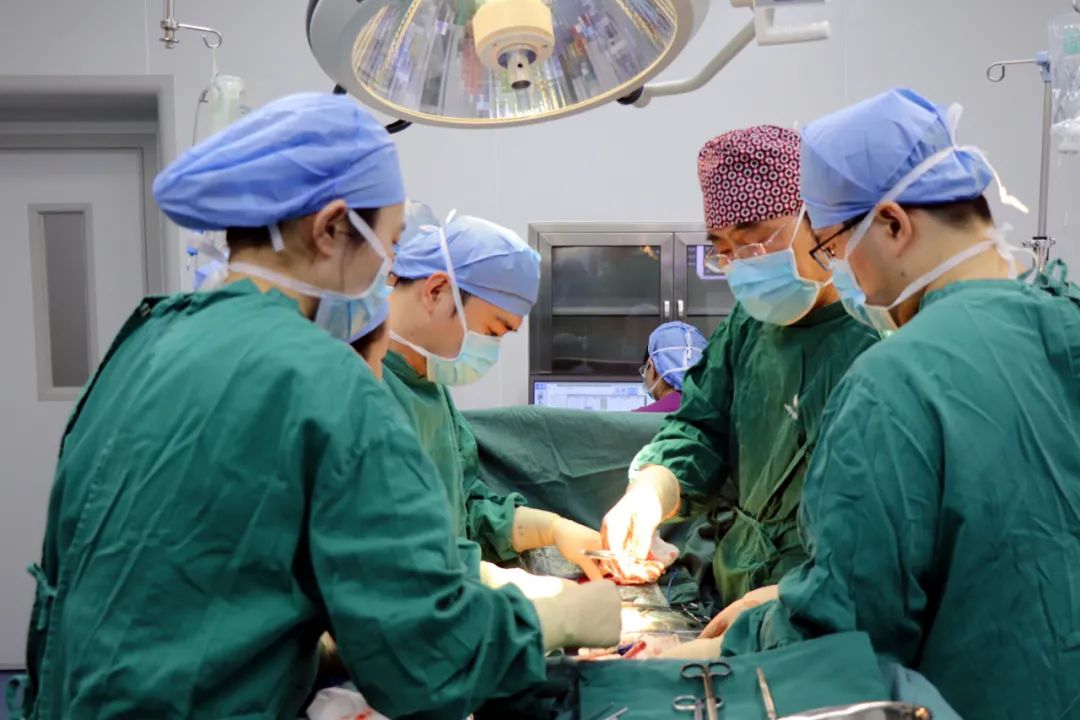 沈阳市卫生健康系统"人才建设年、科技创新年、基层提升年"建设成果之辽宁中置盛京老年病医院工作纪实