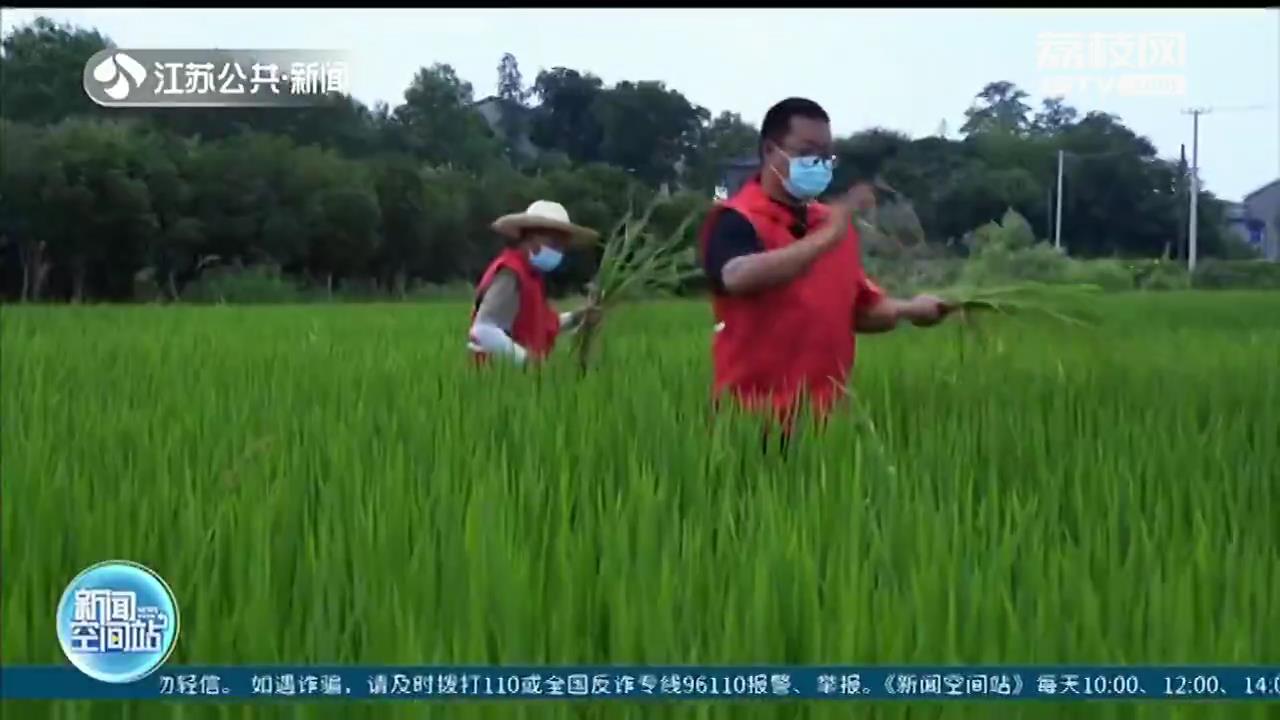 南京：喂鸡鸭鹅、给农田治虫 被隔离的村民请放心，家里的农活有人帮忙干