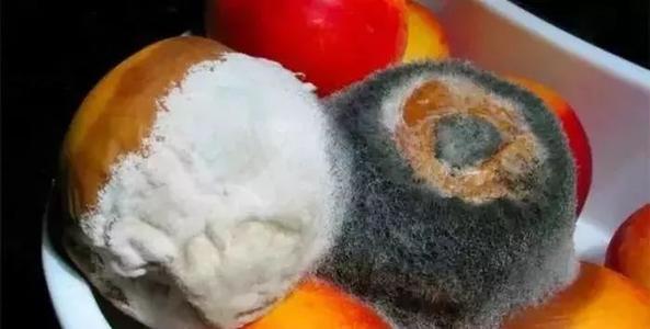 家裡有這五種食材的注意，高溫可能無法完全殺菌，若有，建議別吃