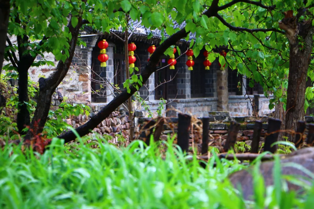 迁西：春色撩人醉心间，雨后与青山关的不期而遇