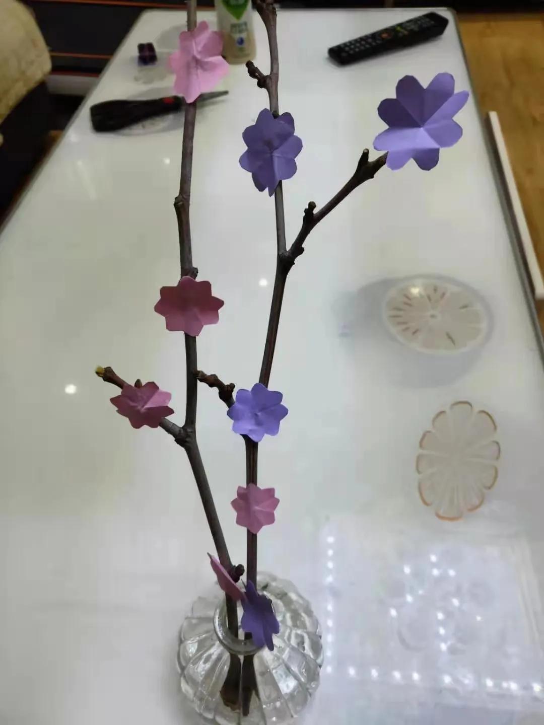 ��֮��.ֲ�̻���--�����еھ�Сѧֲ���ڻ��Ӱ