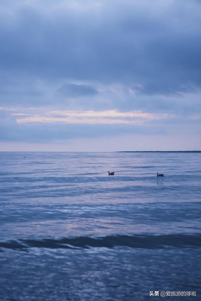 青海值得旅游的地方 青海湖最佳旅游月份(圖39)