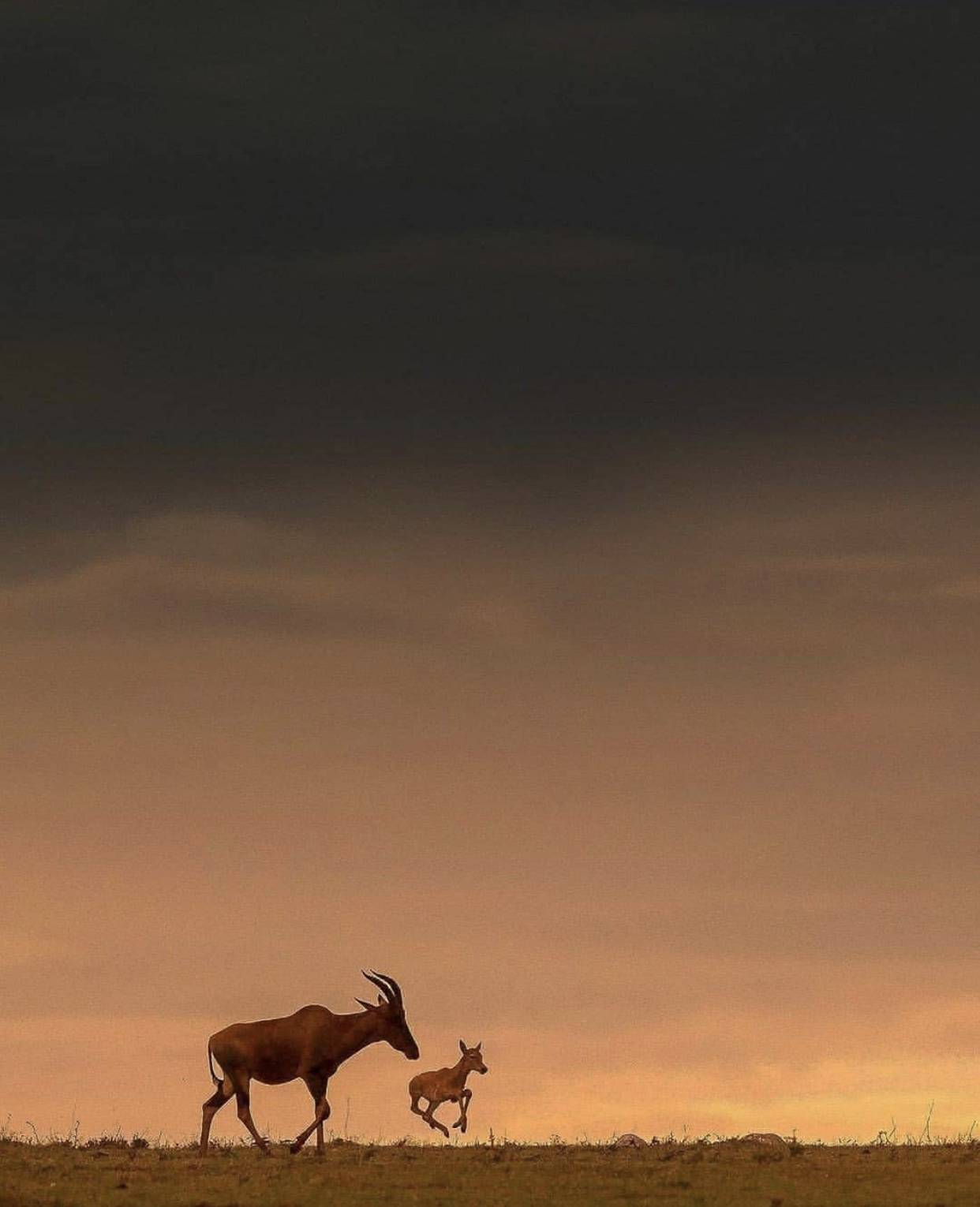 從這些照片裏，感受到了生命的溫度