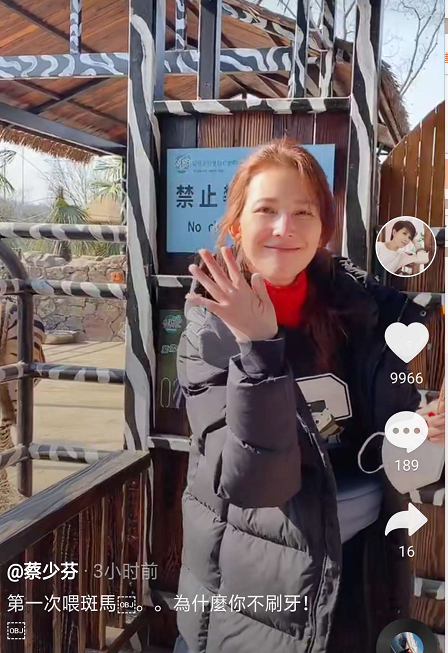 蔡少芬带娃出游，与两女儿开心喂斑马，乐儿长成mini版张晋