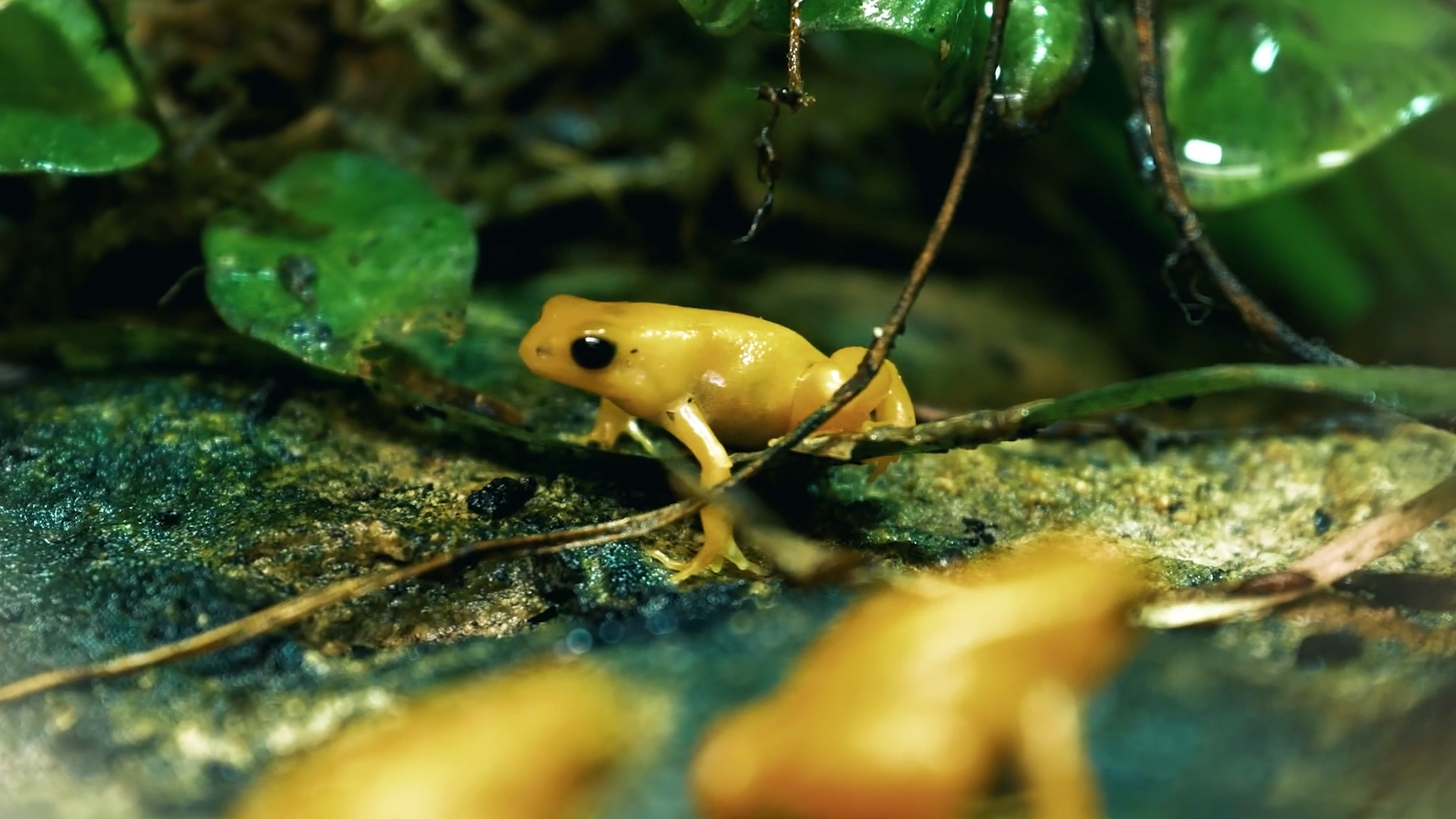 世界上9種致命物質，生活中千萬要注意，盡量離它們遠點