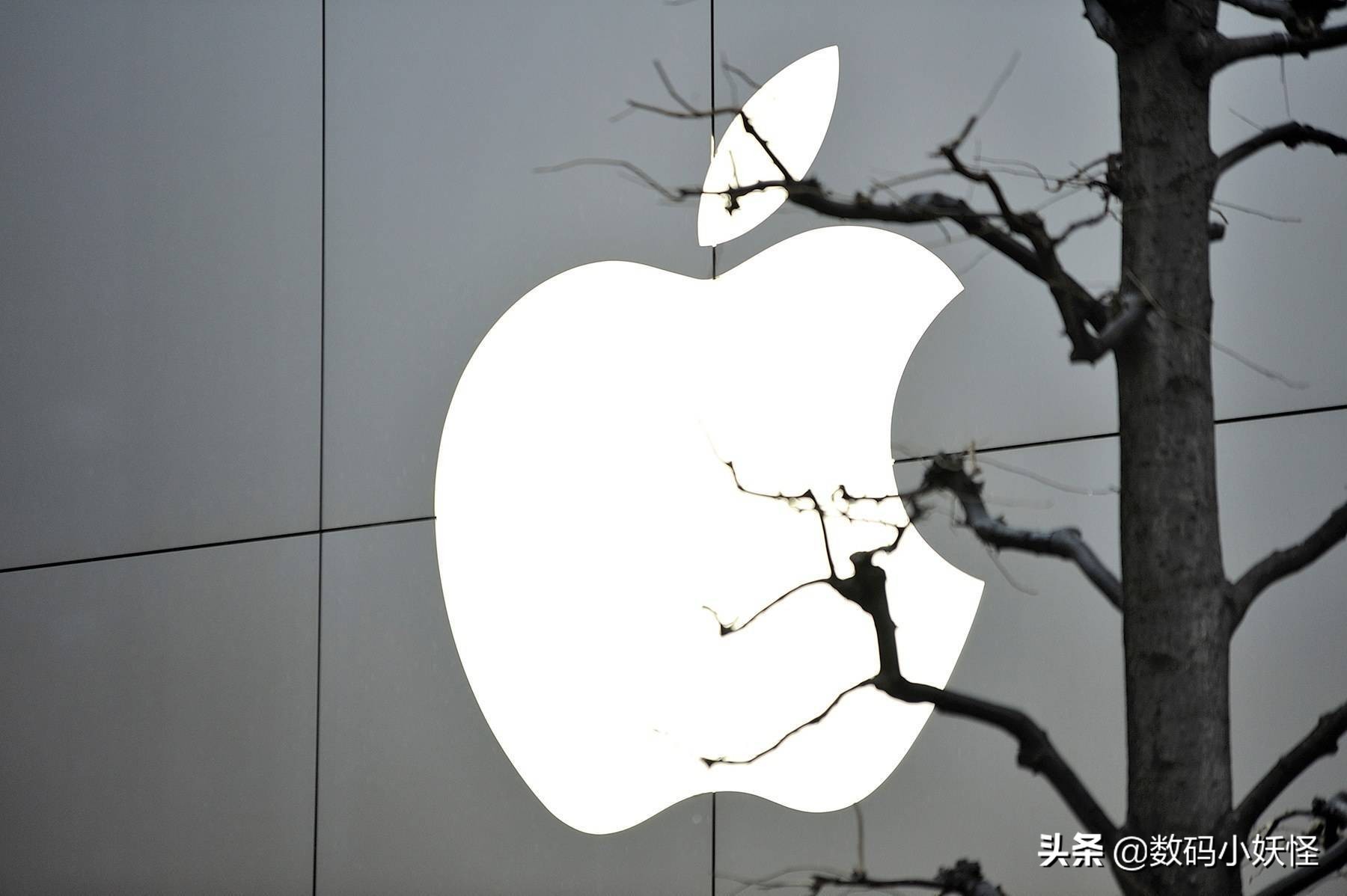 印度撑不起苹果的制造梦！2万台iPhone被盗，损失