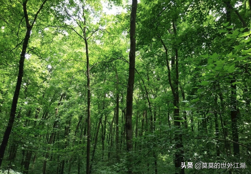 密云云岫谷，原生态自然风景区，原始森林，山水秘境，探险穿越