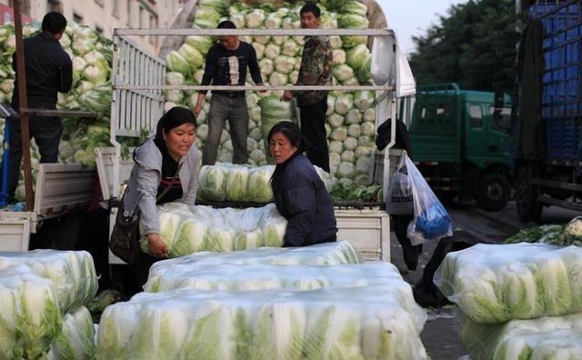 互联网大佬布局农业，不约而同！京东和阿里巴巴有什么不一样？