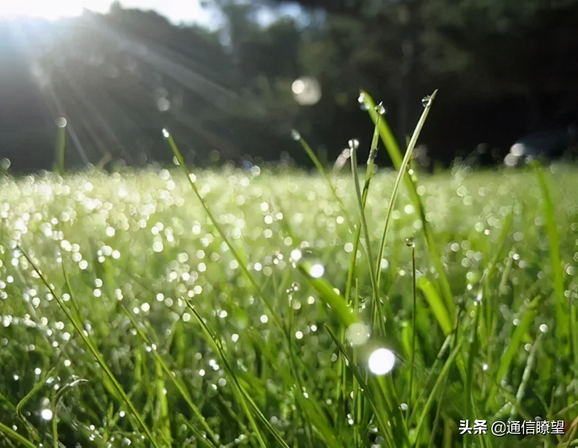 都2021年了为什么会有人喊停5G基站建设？