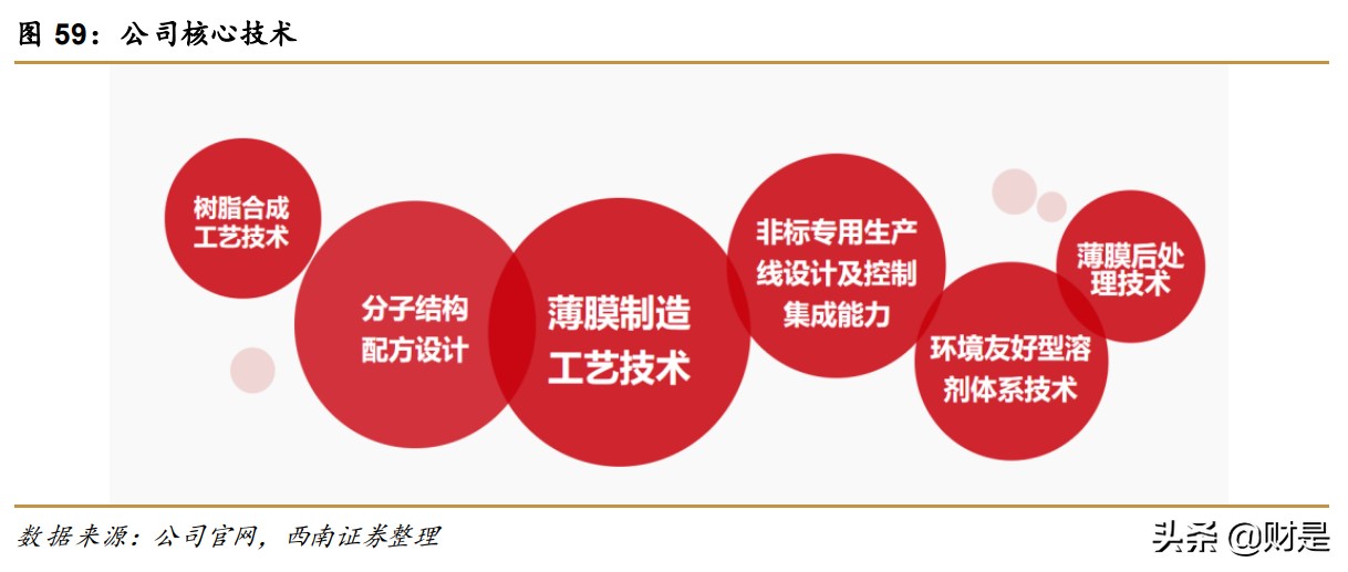 瑞华泰专题研究：稀缺P薄膜龙头，享国产替代蓝海市场