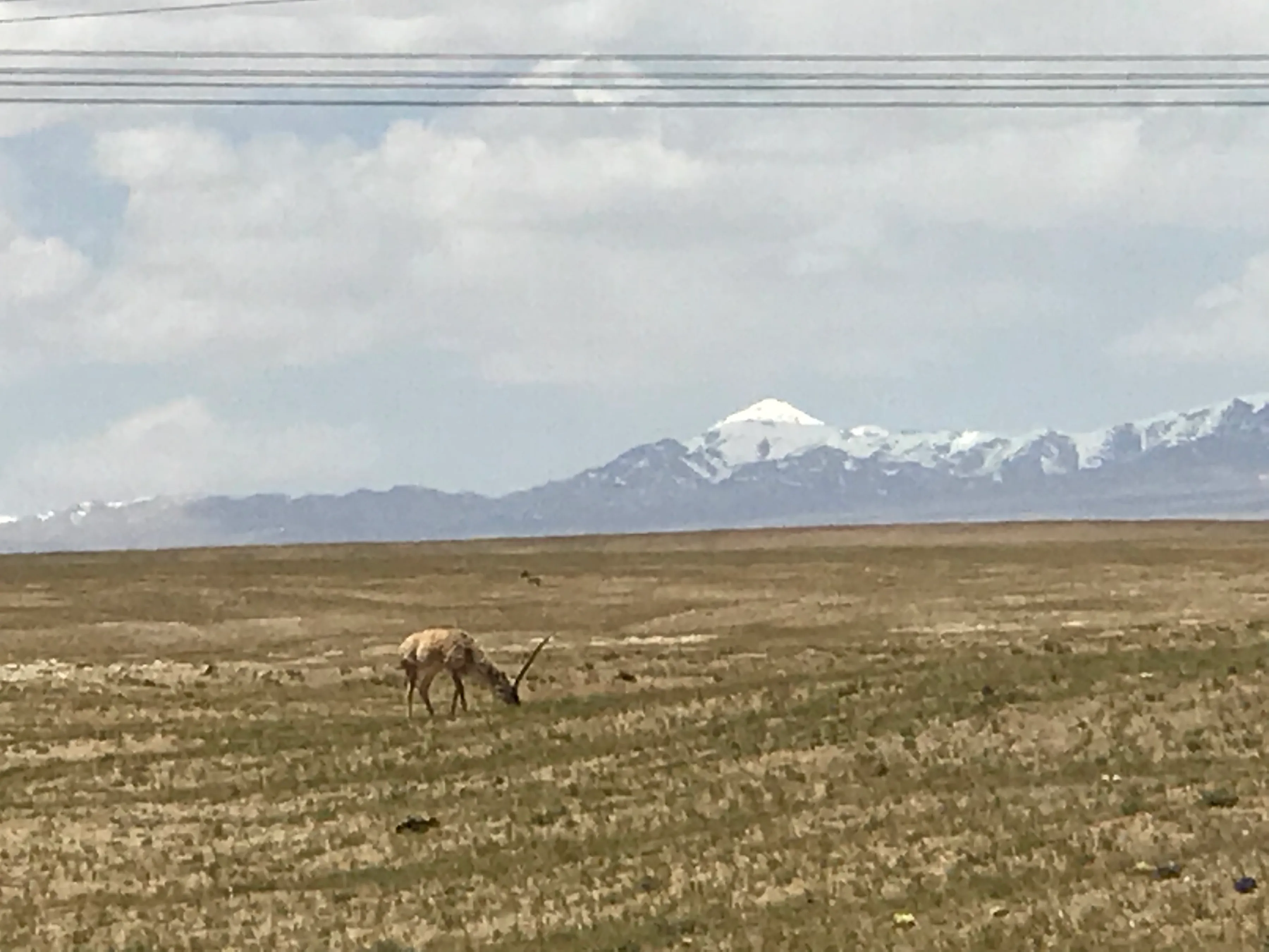 Colorful Qaidam (6) Golmud