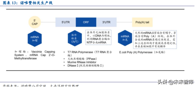 mRNA疫苗相关产业链价值分析：酶是价值链最大的一块