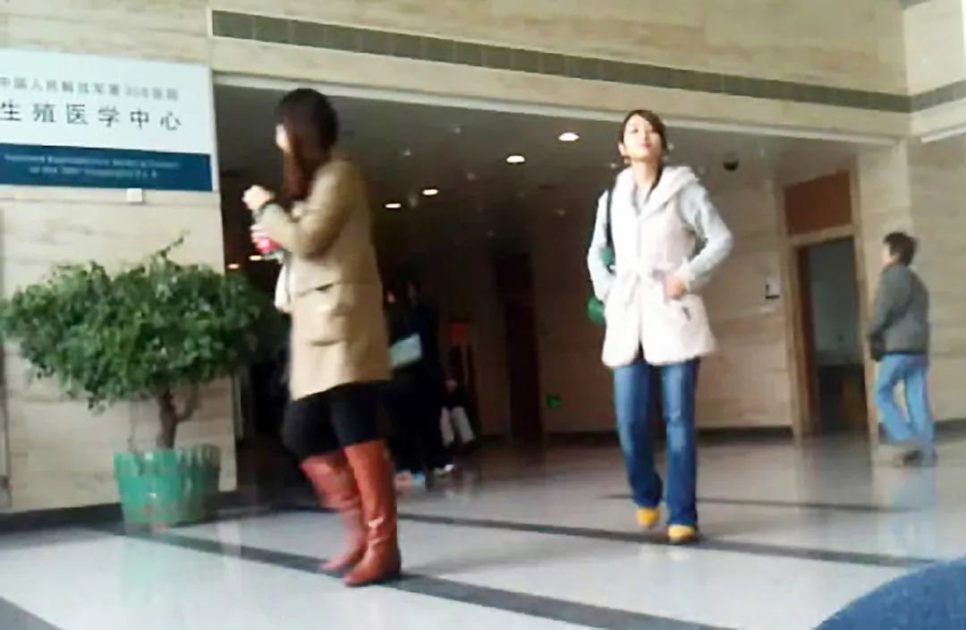 卖卵黑市调查：十天赚五万，也可能搭上性命