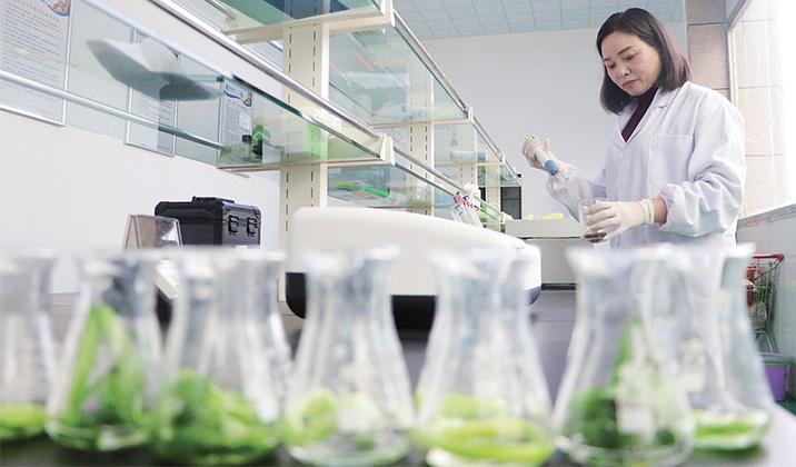 別再給孩子吃�甲醛菜�，用開水都很難洗乾淨，對孩子健康沒好處