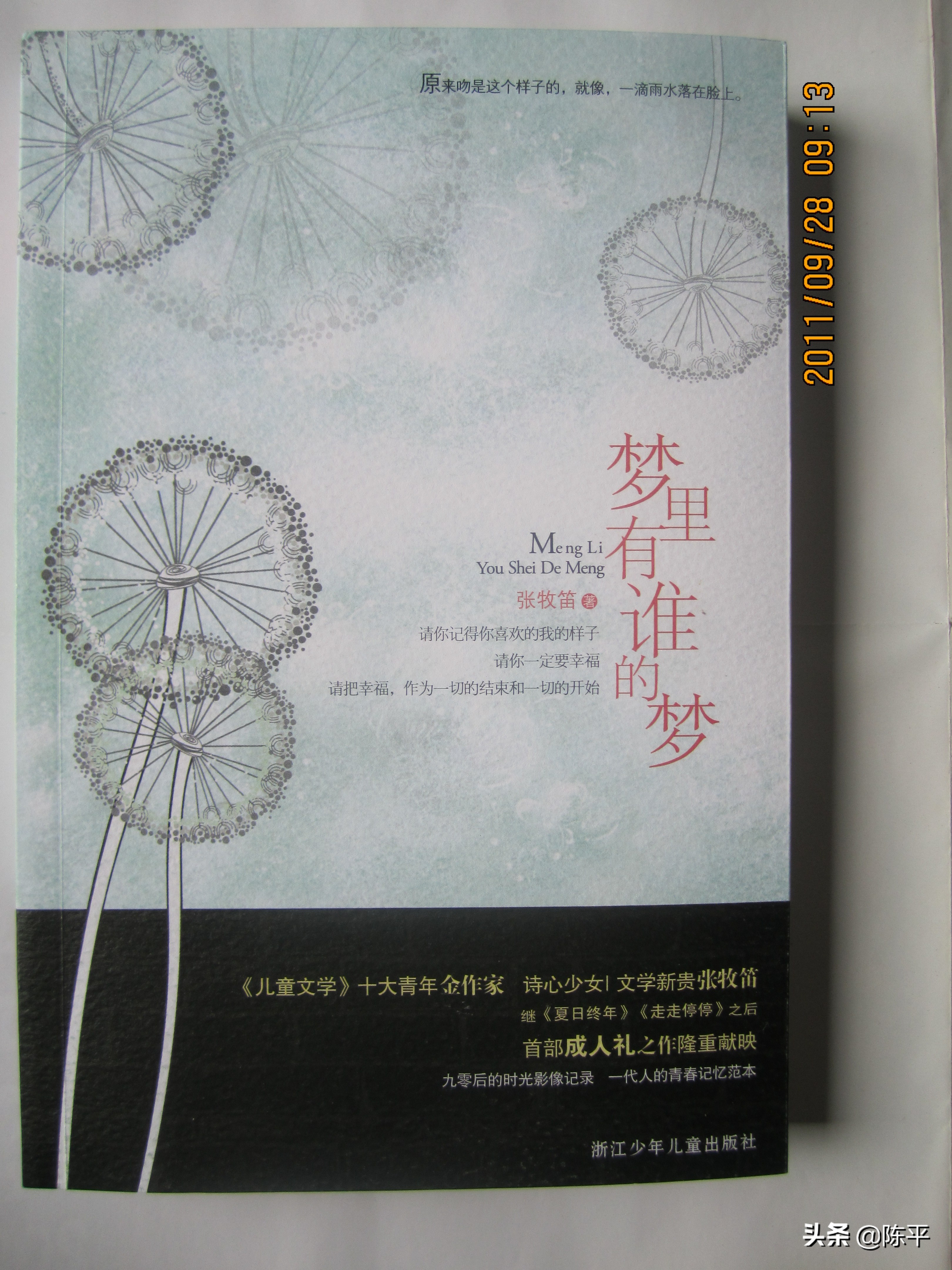 网友评张牧笛《梦里还有谁的梦》,写得比