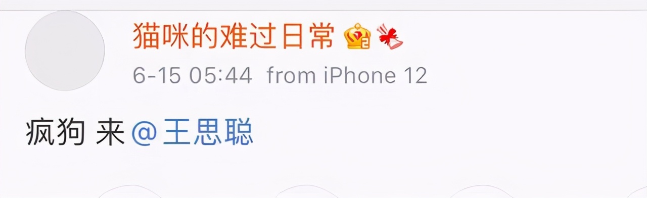 王思聪被“十八线网红”反杀始末