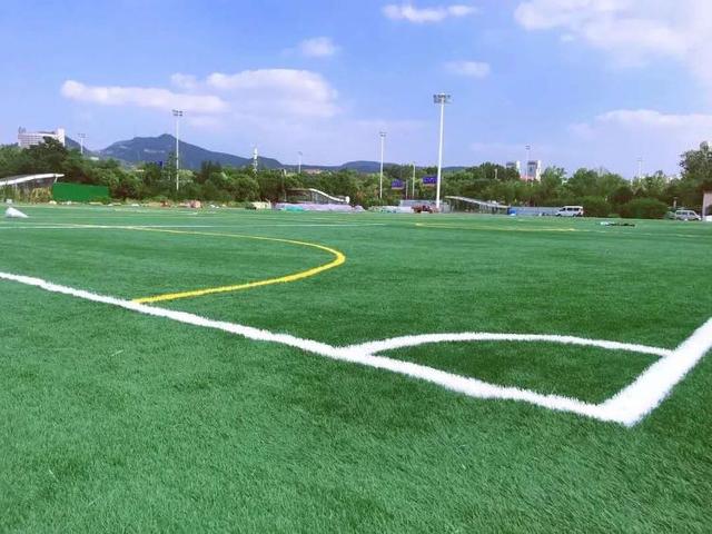 济南足球主题公园分时段收费？工作人员这样回应